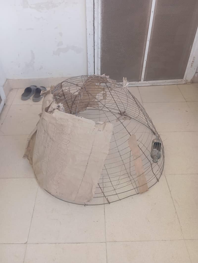 hen cage 0