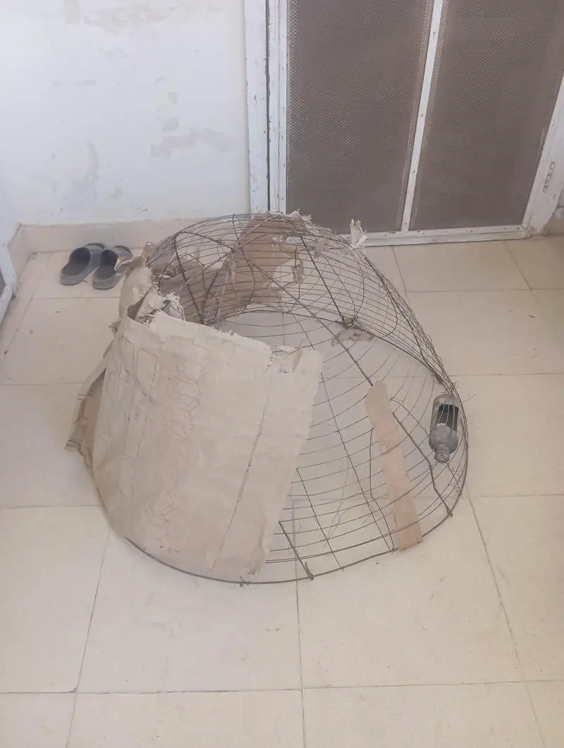hen cage