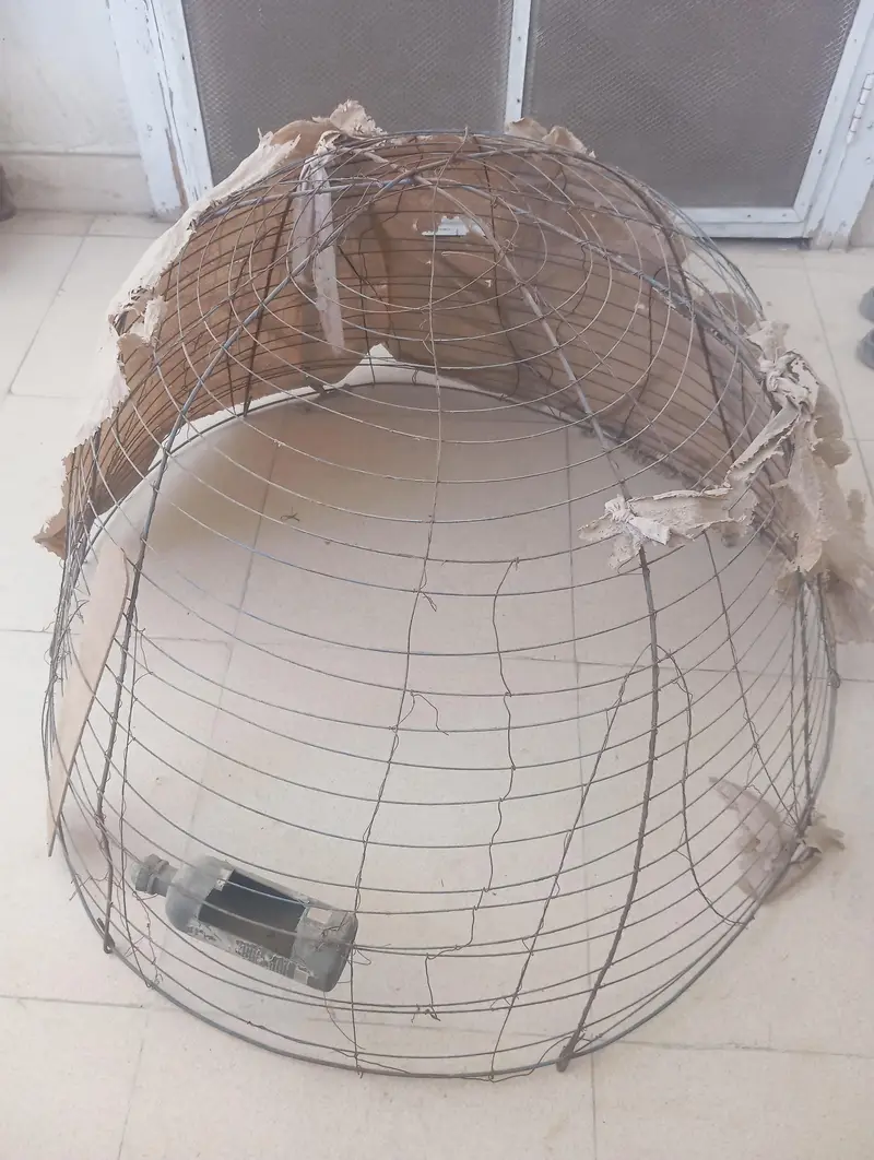hen cage — photo 2