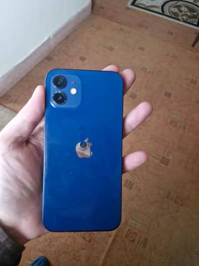 Apple iPhone 12