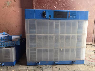 186 and 124 eggs AC DC  incubator