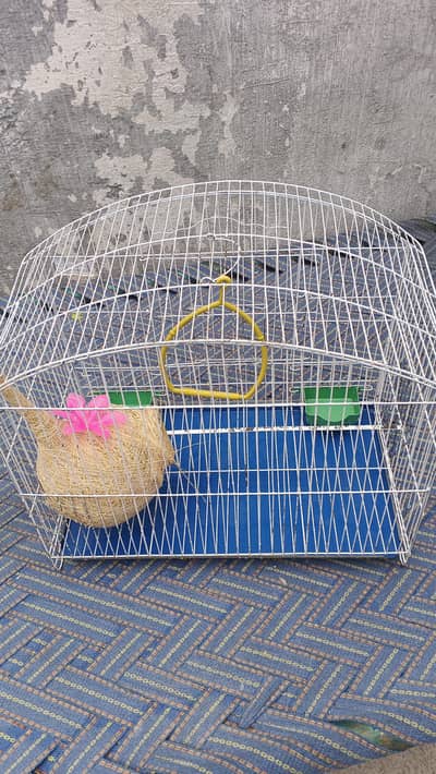 new parrot big size pinjra for sale