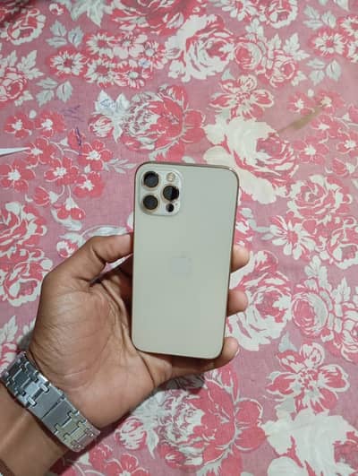 Iphone 12 pro Dual Physical PTA