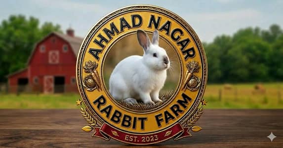 Ahmad Nagar Rabbit Farm