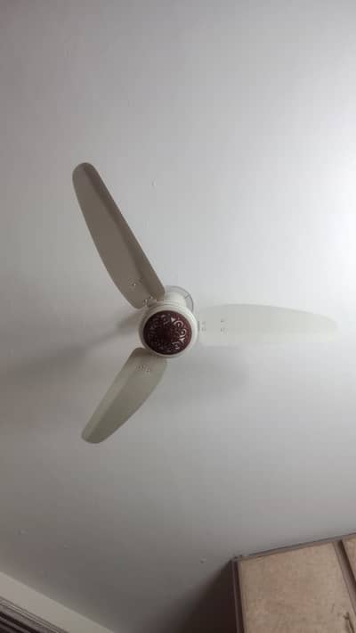 Royal Ceiling Fan – Excellent Condition – Best Price