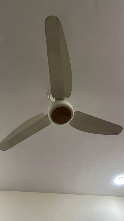 GFC Fan Just like new condition with box