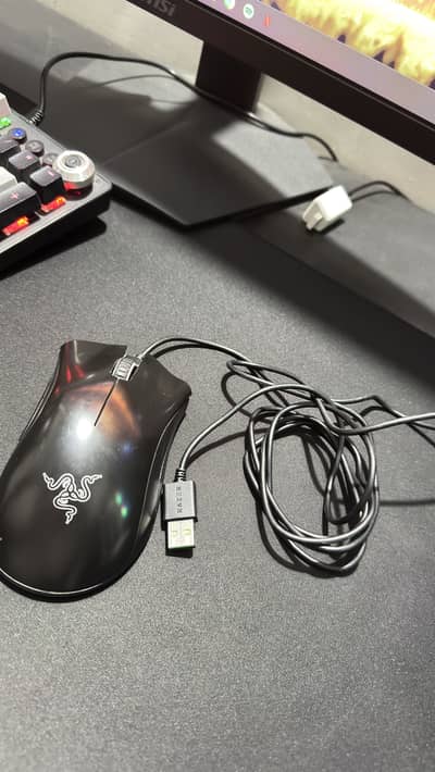 Razer Deathadder Essential Mouse (Used)
