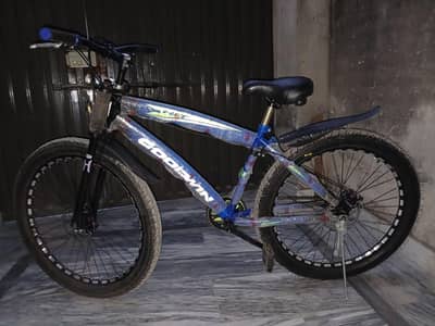 Goodwin 26" Bicycle