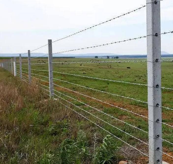 مولوی جالی ہاؤس 17