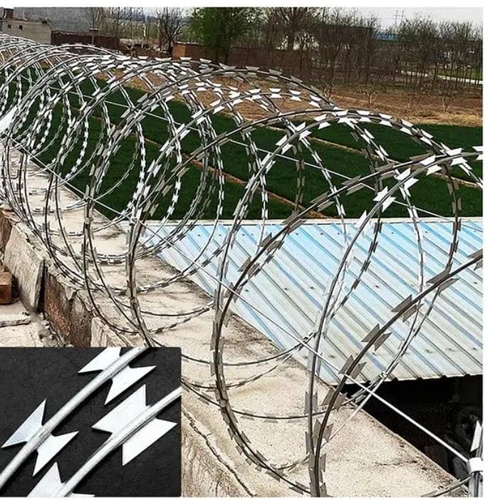 مولوی جالی ہاؤس 18