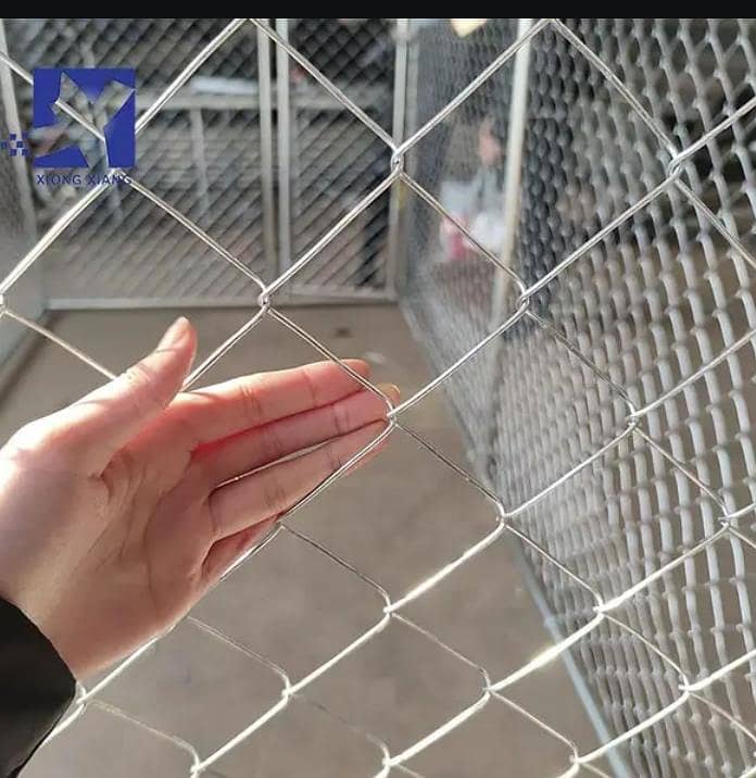 مولوی جالی ہاؤس 19