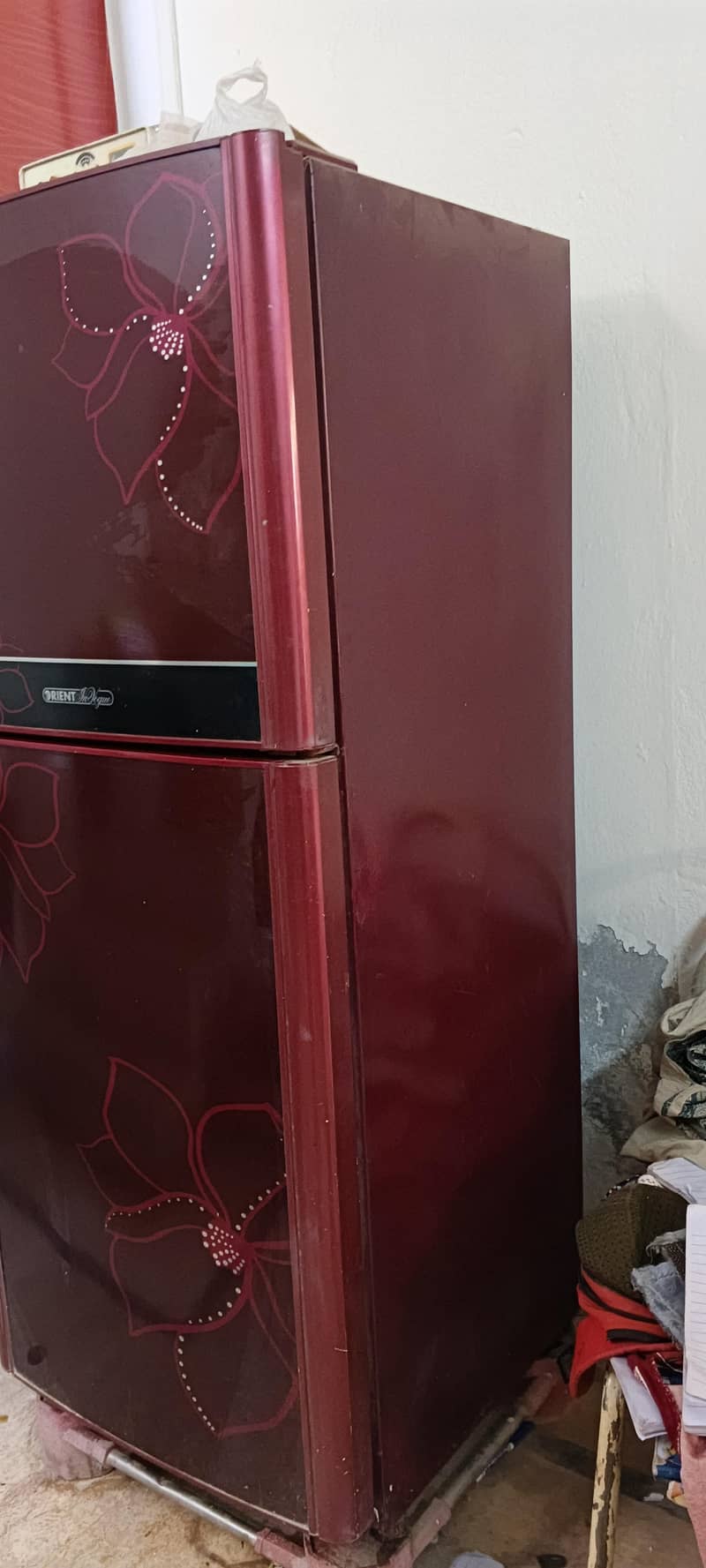 orient medium size 1