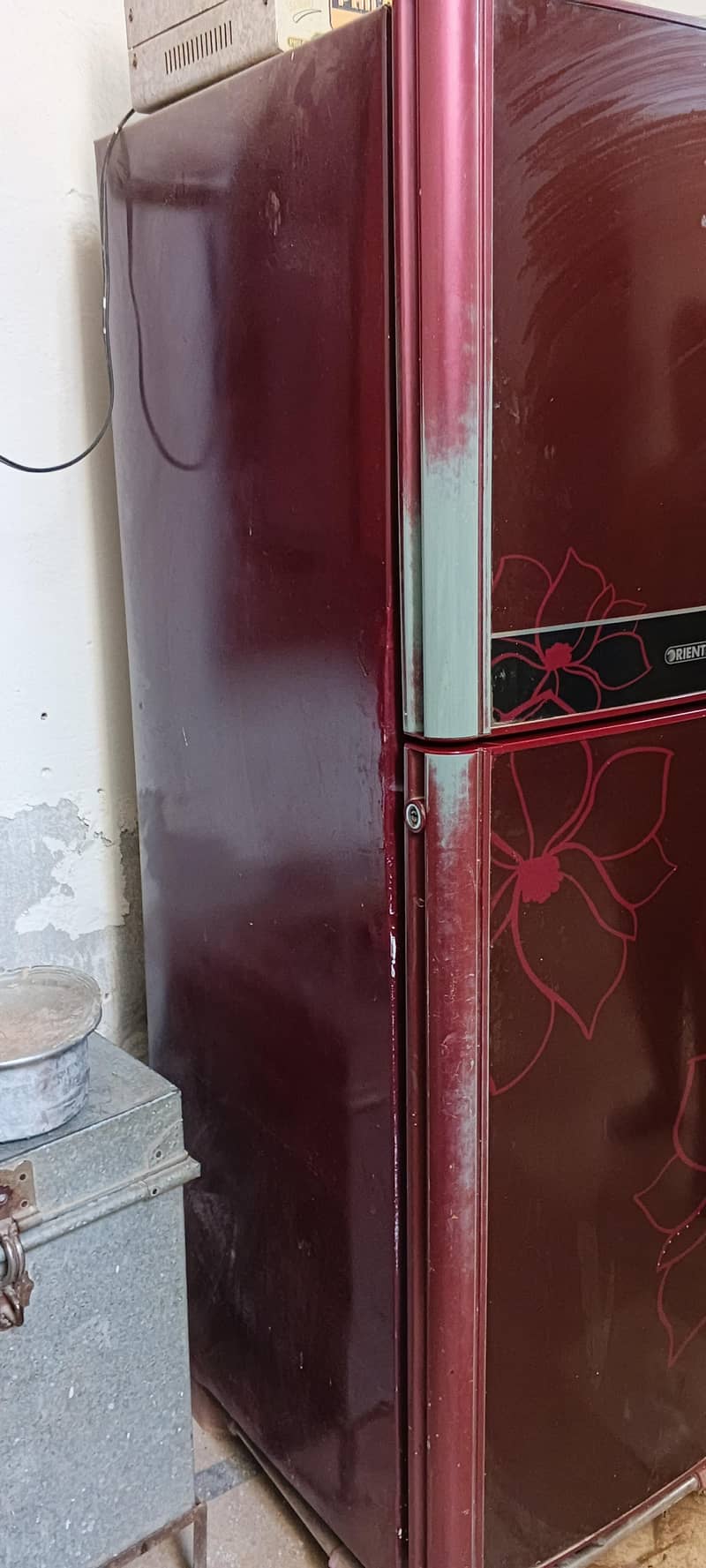 orient medium size 2