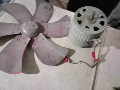 Coler moter with fan