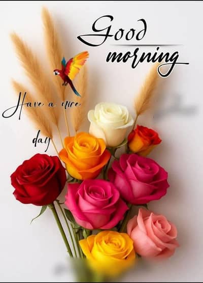 Electronics not just credit card swipe only Lahore