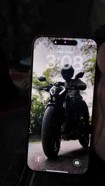 17 pro max mercantile pta approved