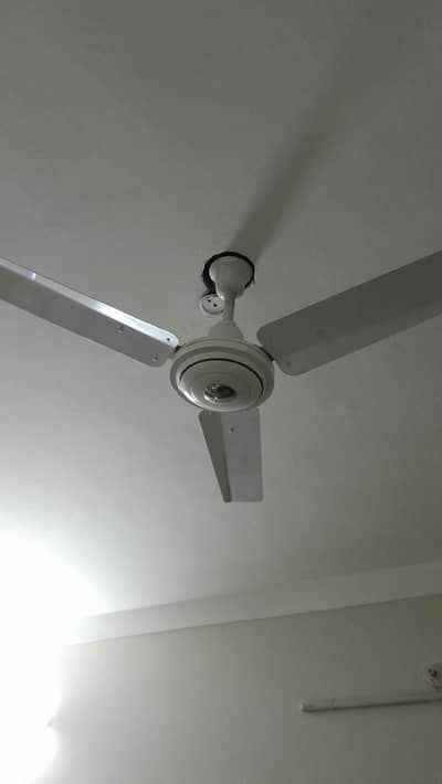 4 fans for sale