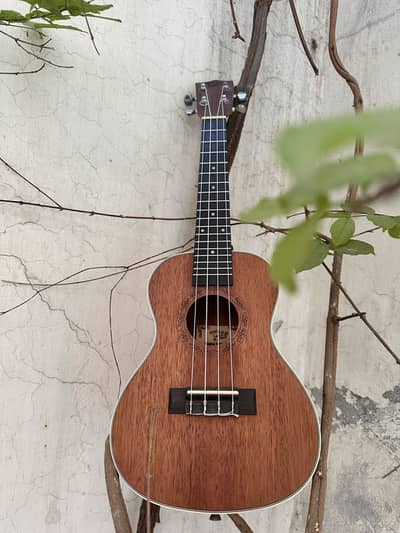 Brand New Ukulele 24 Inch