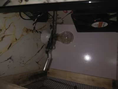 Incubator 25 say 30 eggs