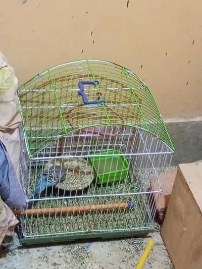 birds cage