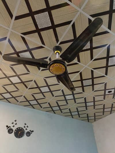 Ceiling Fan