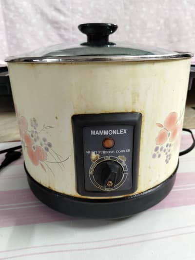 Electric deep fryer machine