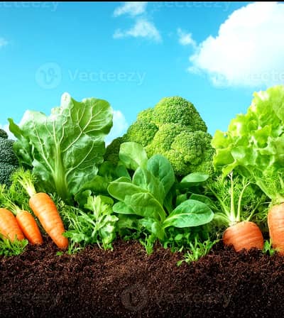 Developed Farm House 20 Kanals & 4 Bedroom House