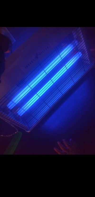 Insect killer machine