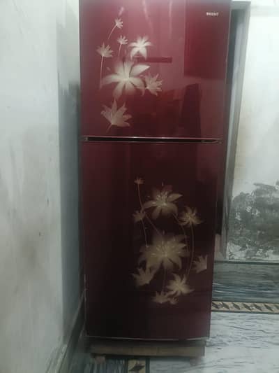 orient fridge for sale