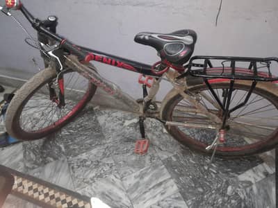Phoenix Bike 10/10 condition