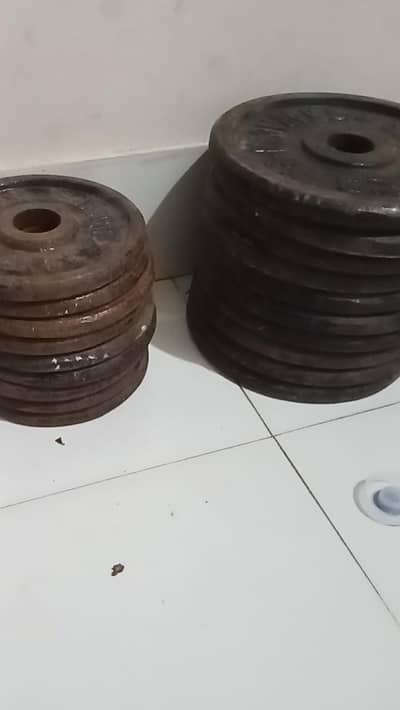 gym commercial plates