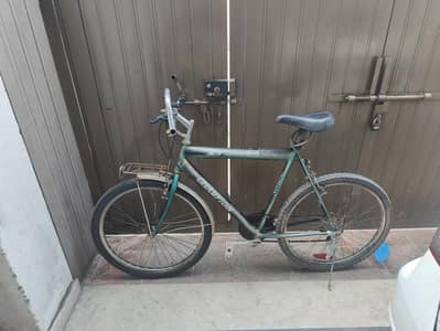 Taiwan imported champion mountain bike for sale