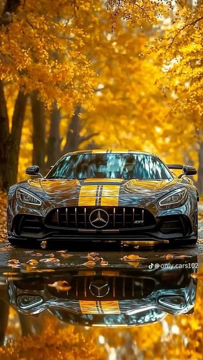 yango indrive new alto 26 model