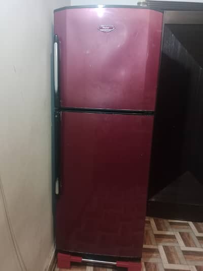 Haier Maroon Refrigerator
