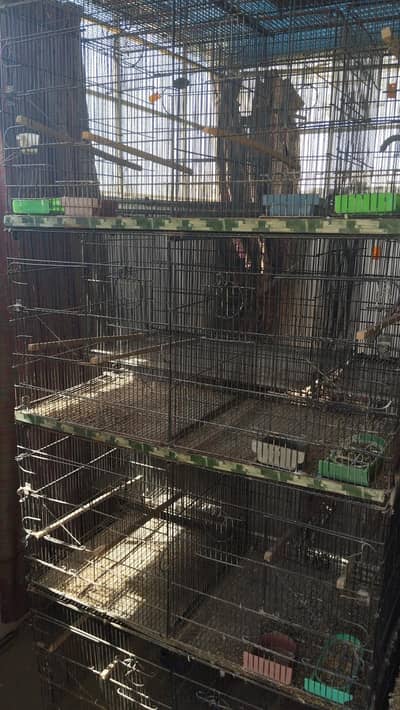 Cages available for cocktail budgies hogromo lovebird finch birds
