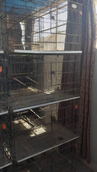 Cages available for cocktail budgies hogromo lovebird finch birds