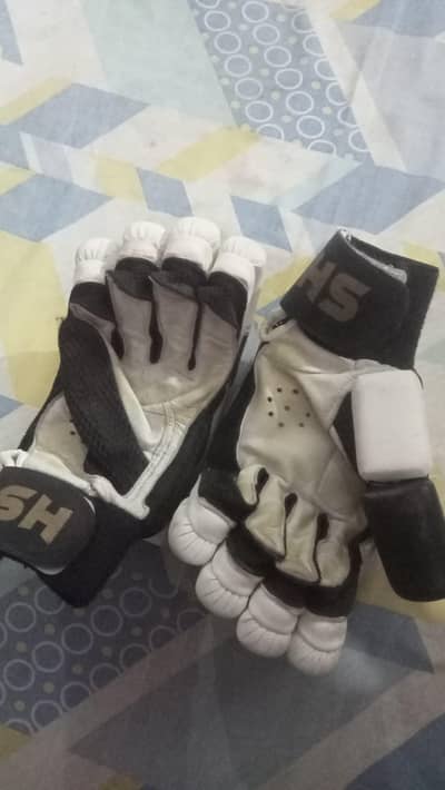Hard ball Cricket gloves