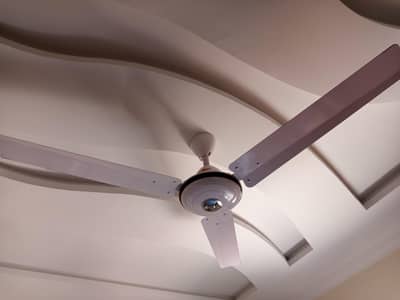 Celleing fan