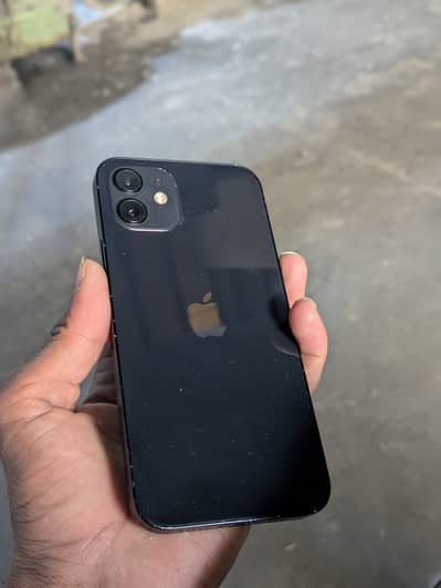 iPhone 12  128 GB  waterproof