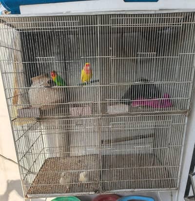 cage for sale