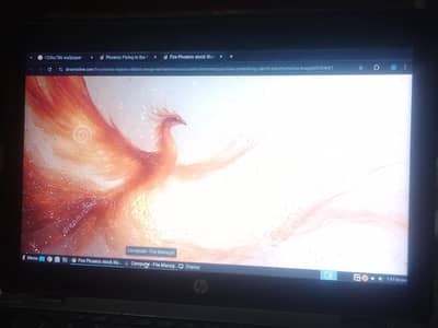 HP EliteBook 820 LCD Screen Replacement (G1, G2, G3, G4) – 12.5"