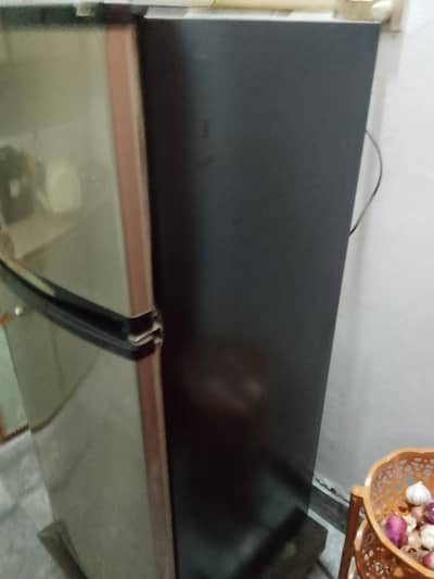 Singer 2 door medium Fridge