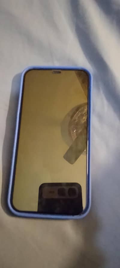 iPhone 12 PTA approved