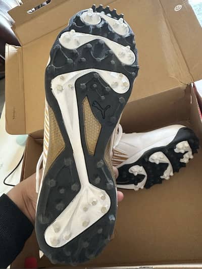 PUMA 22 FH RUBBER VK CRICKET SHOES