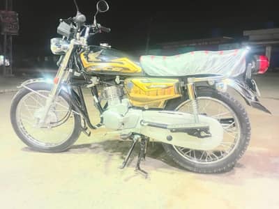 full education gold,black