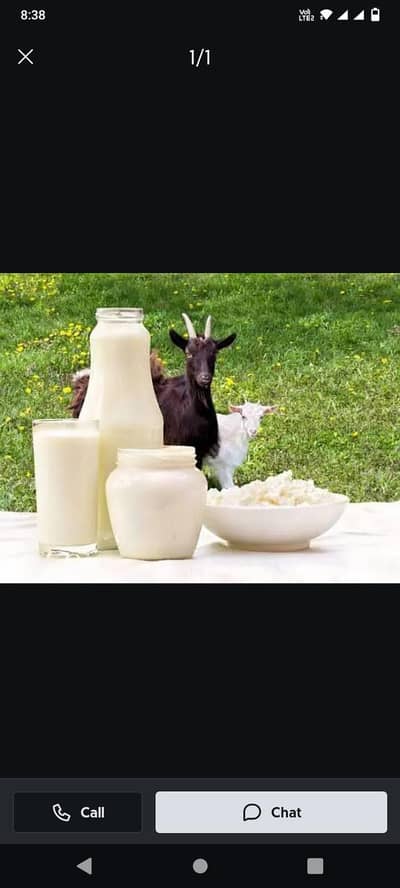 goats milk available ha