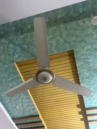 ROYAL CEILING FAN