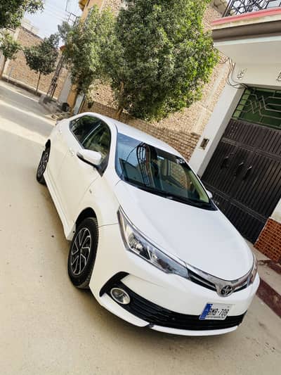 Gli super white 2018 b to b genuine