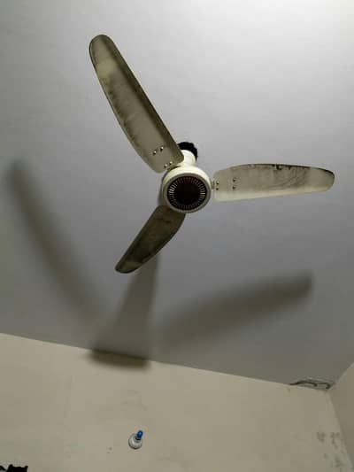 Celing Fans for sale