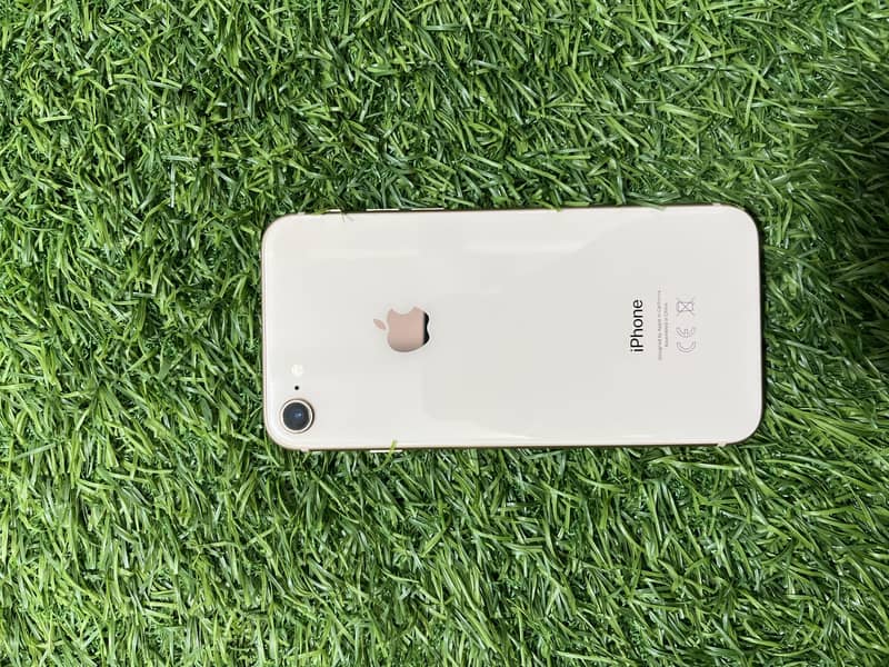 Iphone 8 0